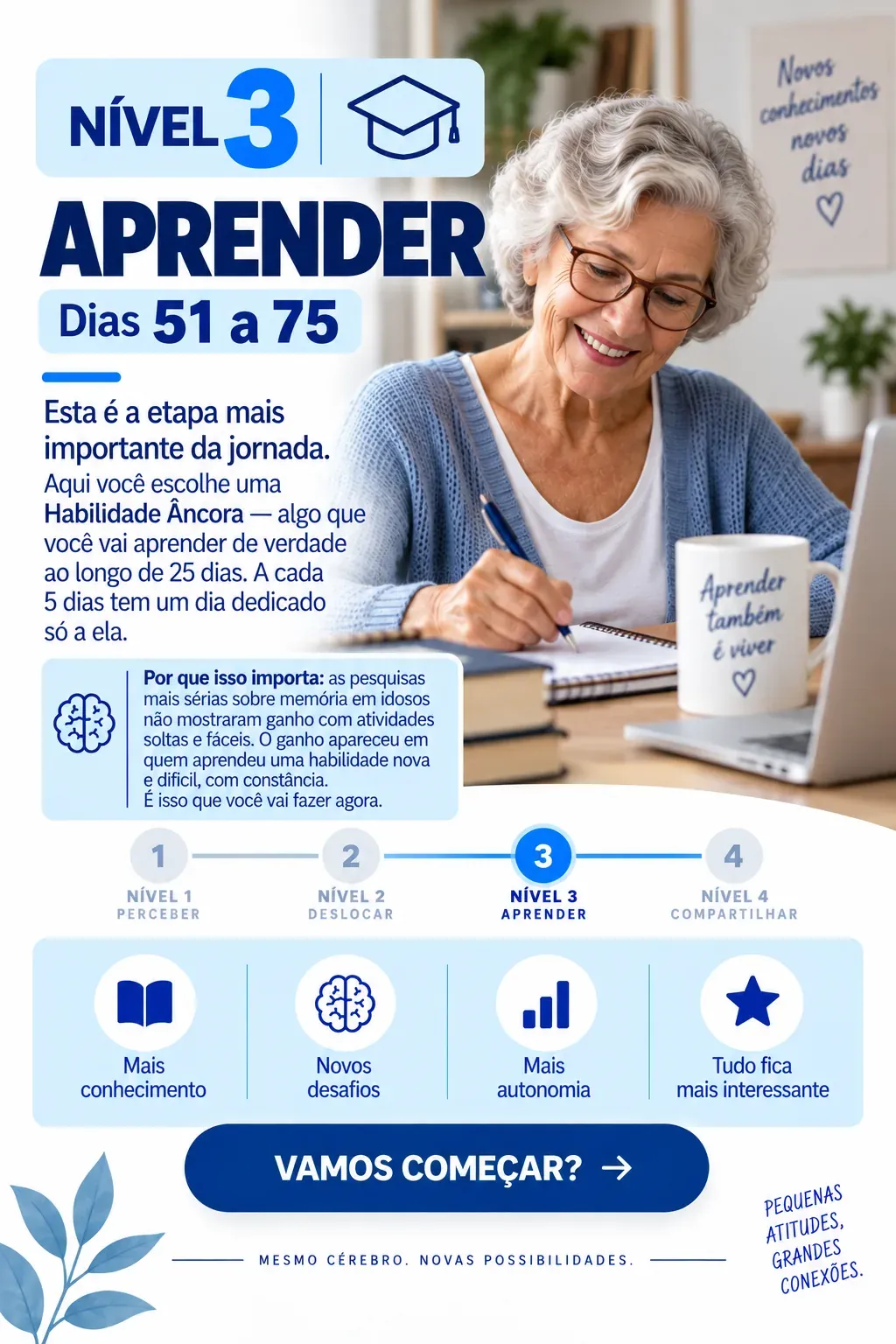 Nível 3 — Aprender, dias 51 a 75